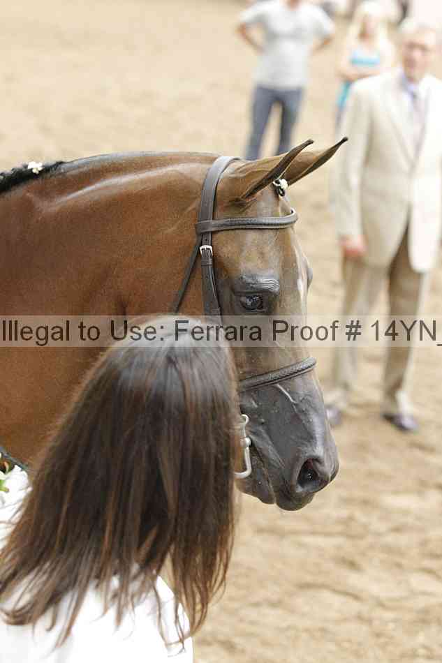 Proof Number 14yn_18278