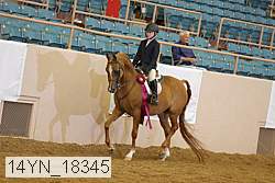14yn_18345 thumbnail