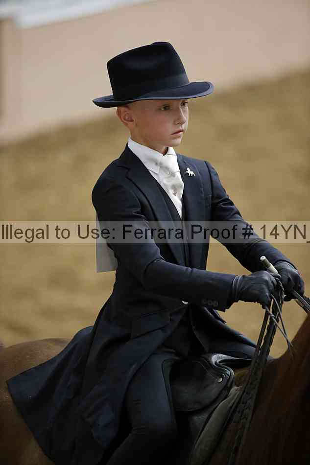 Proof Number 14yn_06798