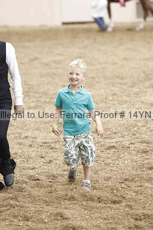 Proof Number 14yn_06873