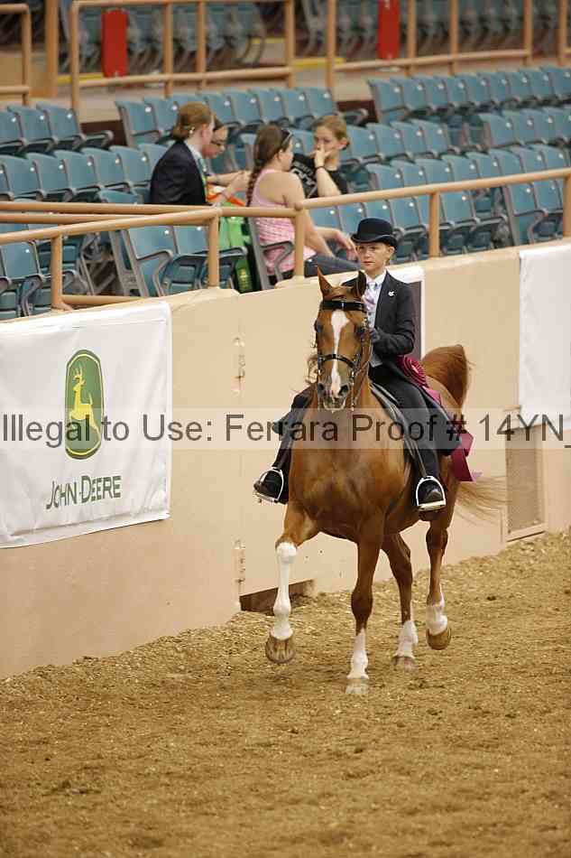 Proof Number 14yn_06949