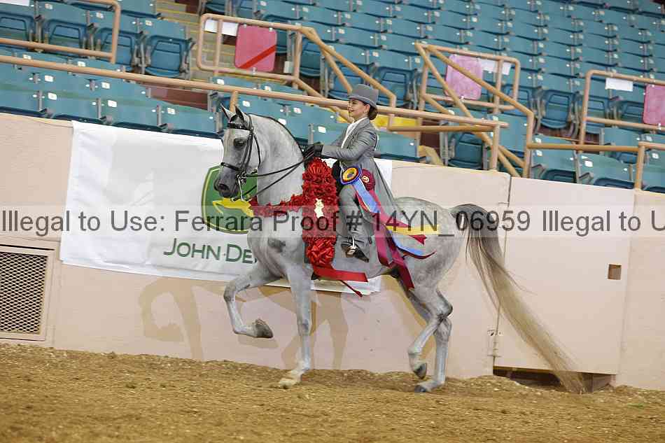 Proof Number 14yn_06959