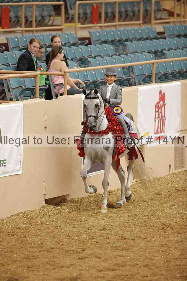 Proof Number 14yn_06965