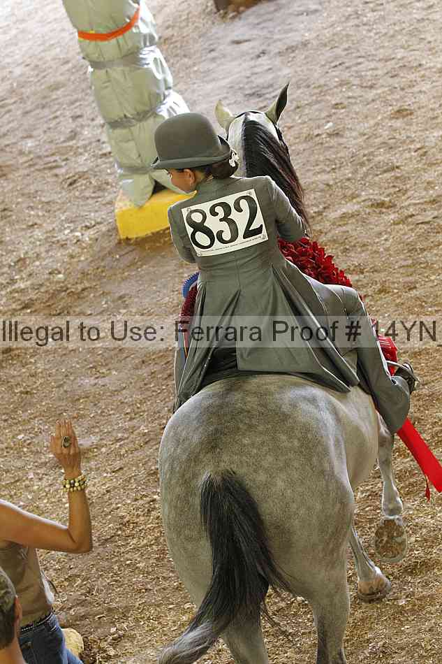 Proof Number 14yn_06983