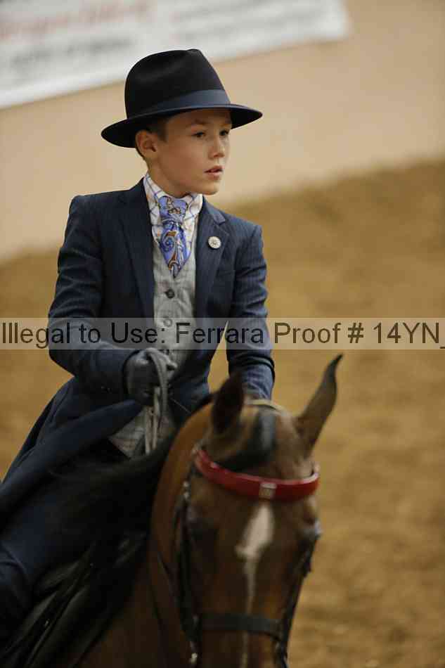 Proof Number 14yn_10491
