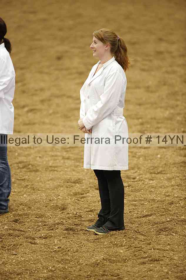 Proof Number 14yn_10497