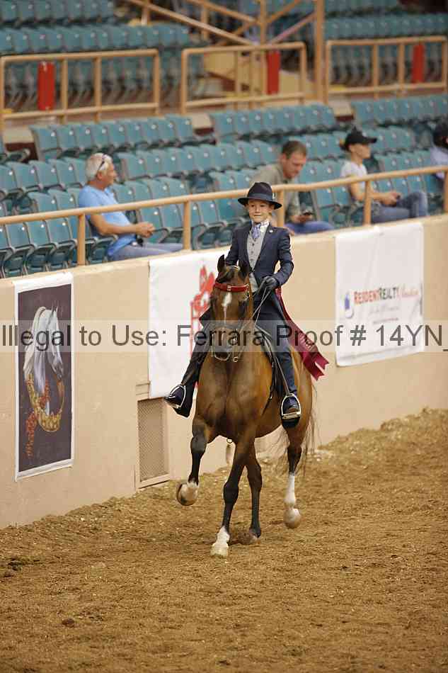 Proof Number 14yn_10579