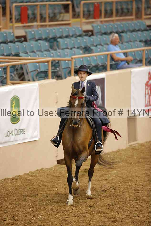 Proof Number 14yn_10580