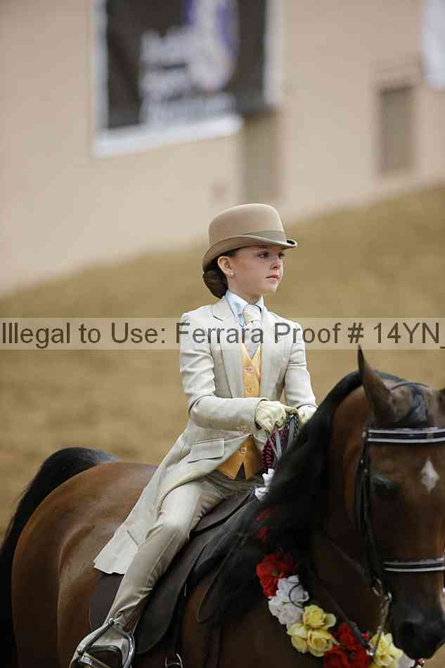 Proof Number 14yn_10595