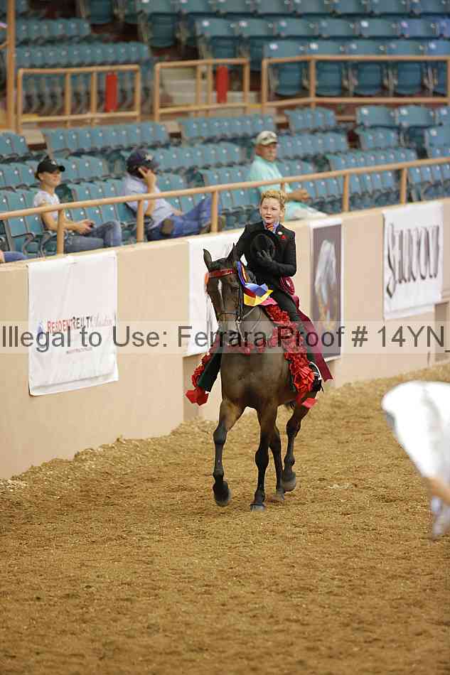 Proof Number 14yn_10602