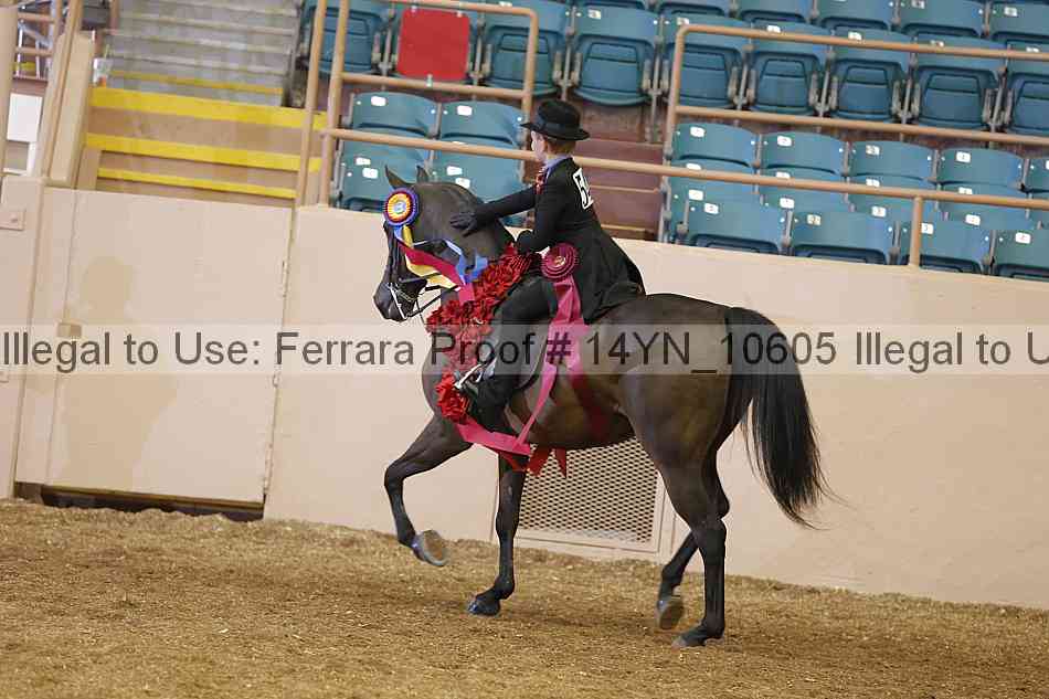 Proof Number 14yn_10605