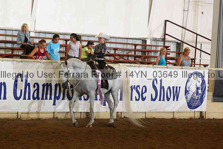 Proof Number 14yn_03649