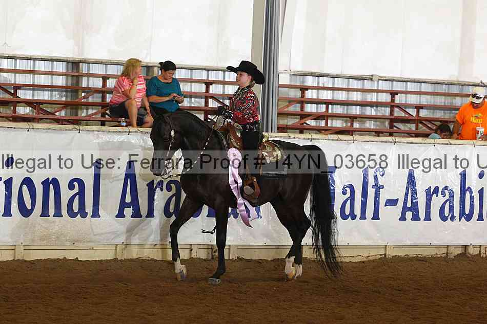Proof Number 14yn_03658