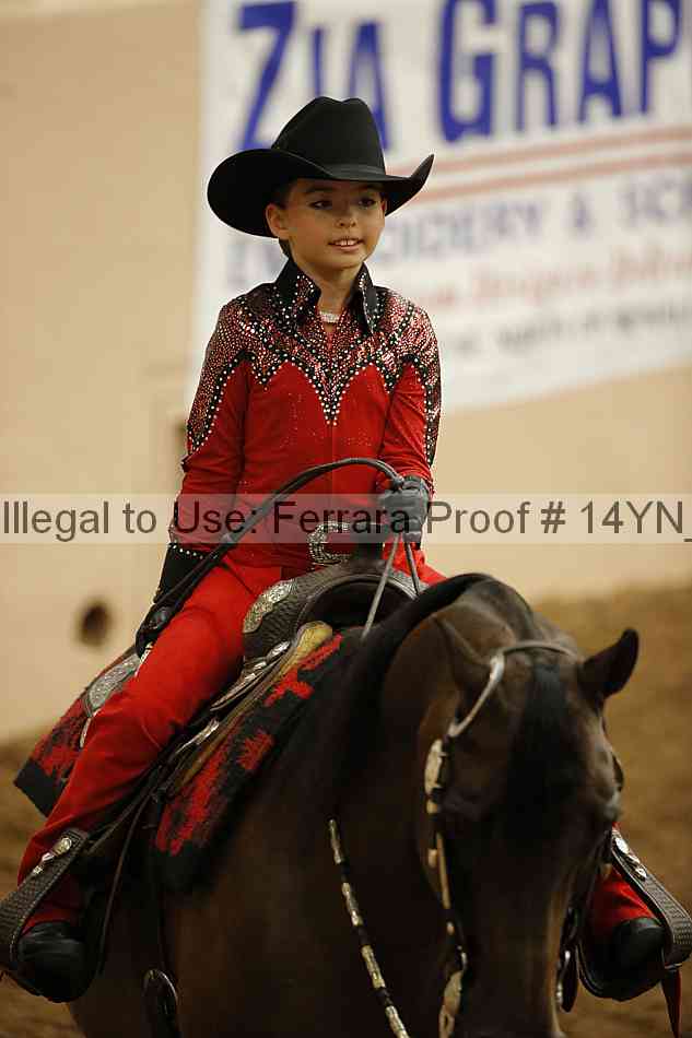 Proof Number 14yn_24969