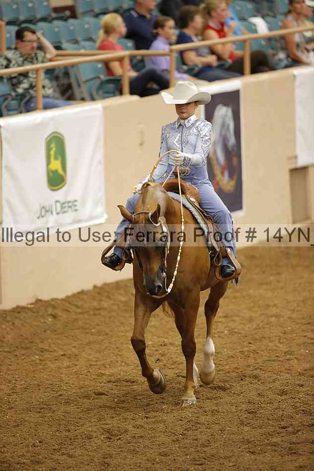 Proof Number 14yn_24992