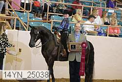 14yn_25038 thumbnail