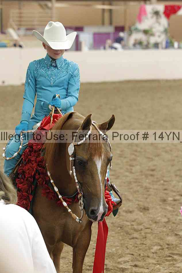 Proof Number 14yn_25105