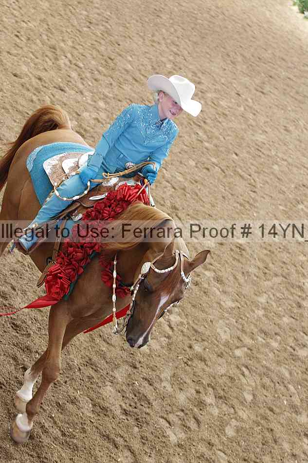 Proof Number 14yn_25183