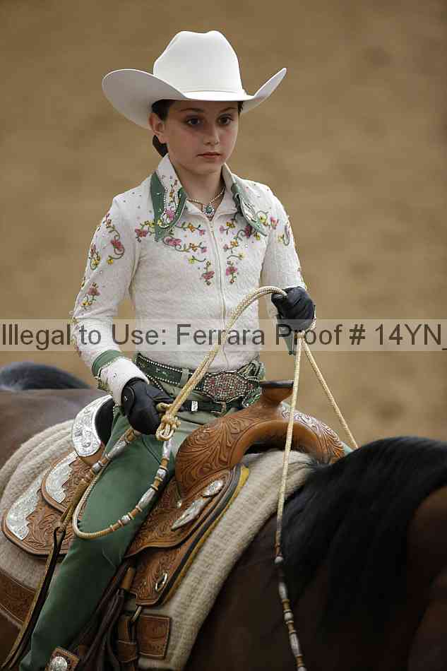 Proof Number 14yn_26053