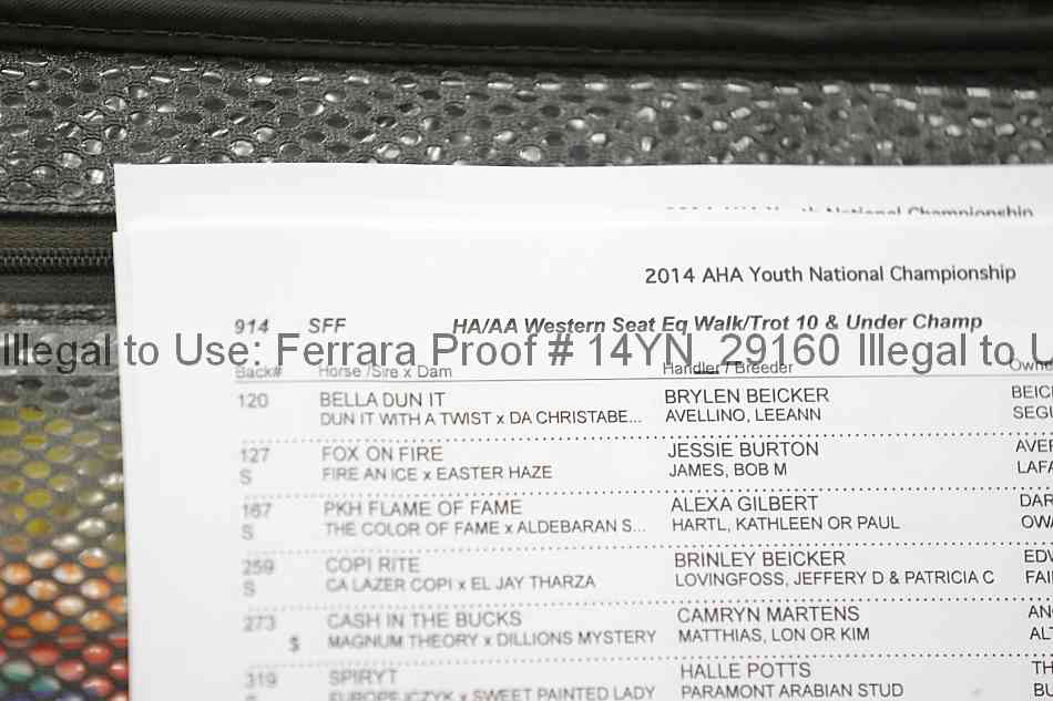 Proof Number 14yn_29160