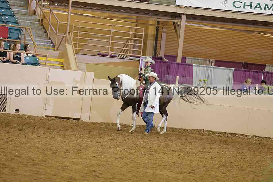Proof Number 14yn_29205