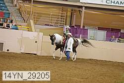 14yn_29205 thumbnail