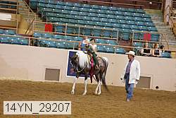 14yn_29207 thumbnail