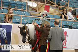 14yn_29208 thumbnail