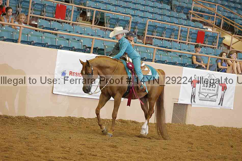 Proof Number 14yn_29224