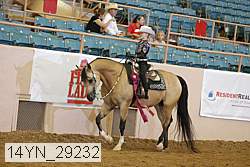 14yn_29232 thumbnail