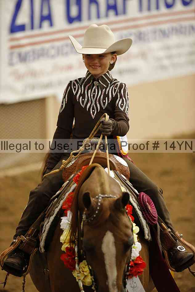 Proof Number 14yn_29278
