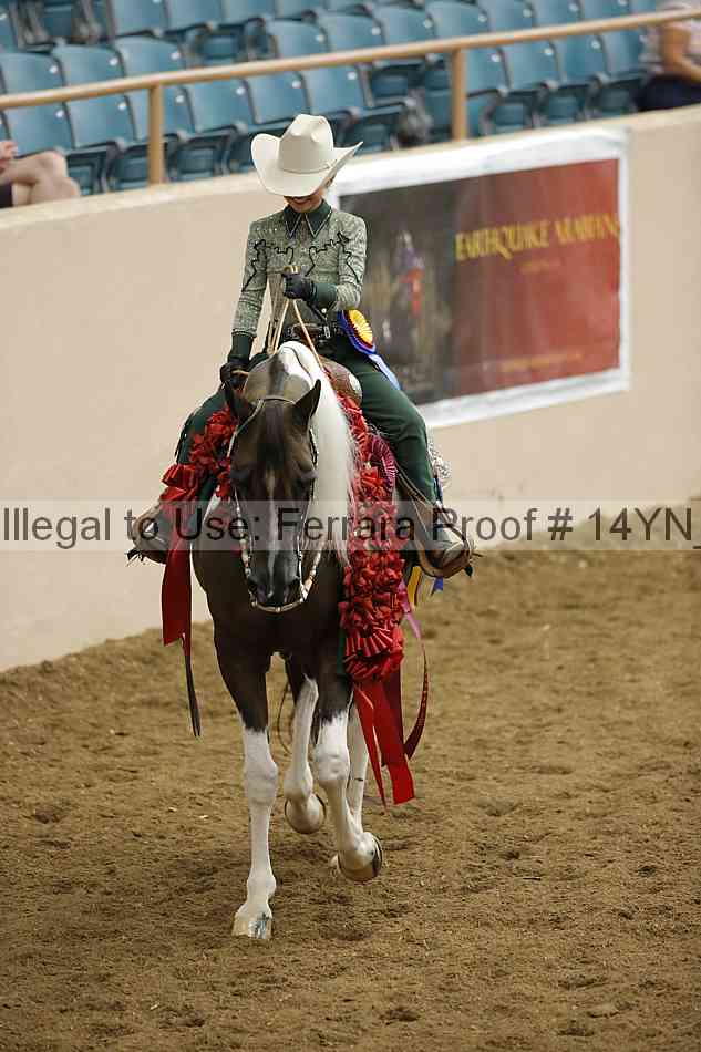 Proof Number 14yn_29290