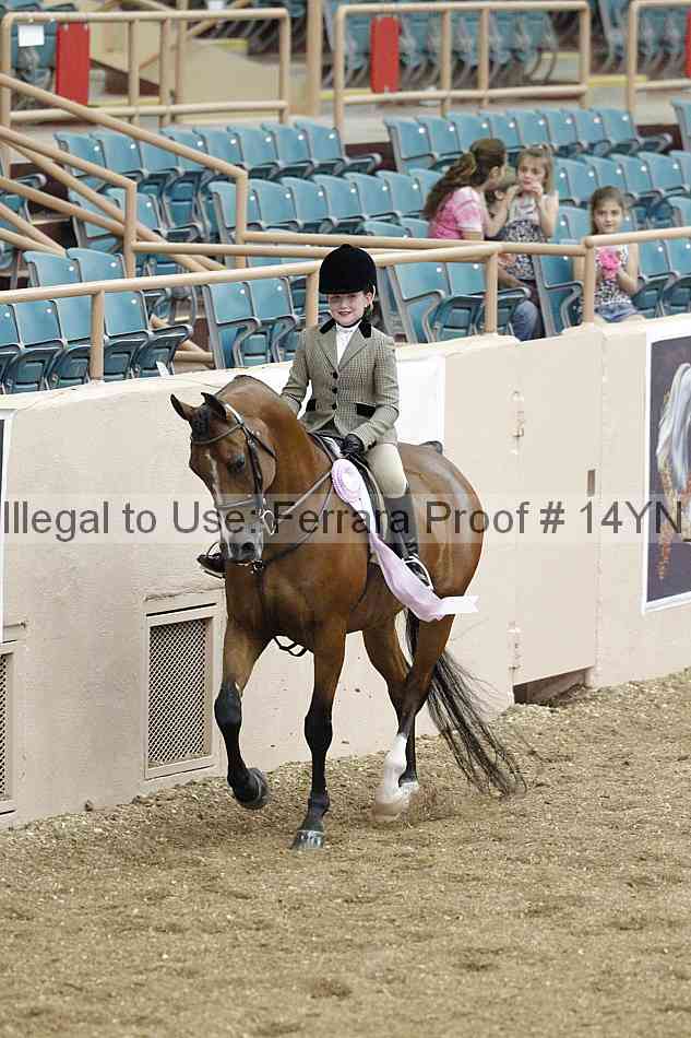 Proof Number 14yn_03758