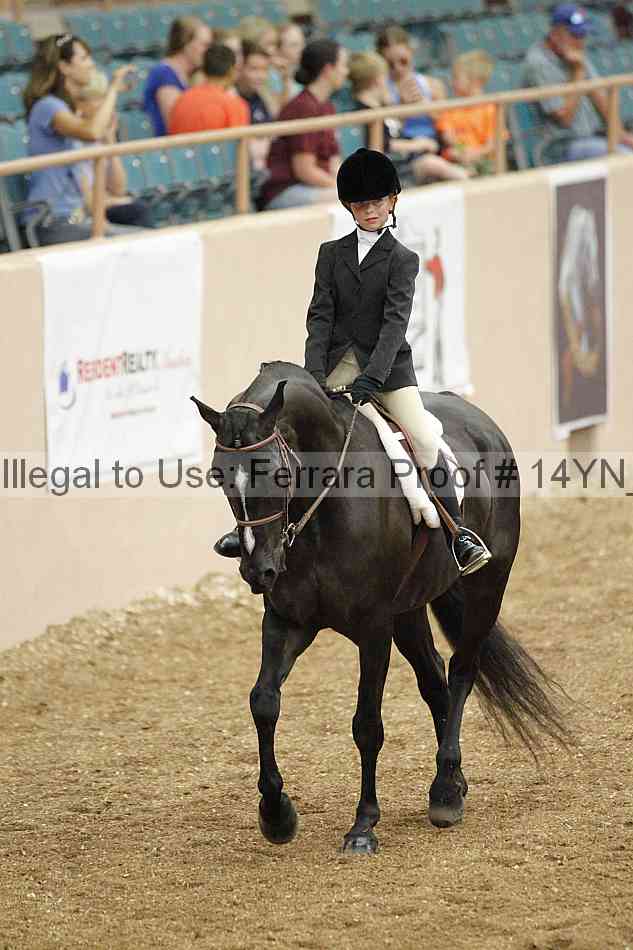 Proof Number 14yn_03808