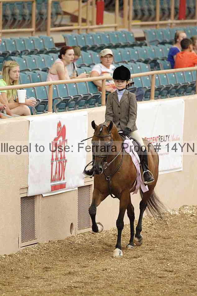 Proof Number 14yn_03857