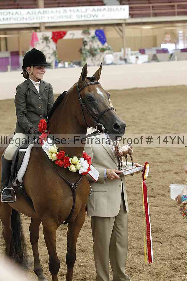 Proof Number 14yn_19496