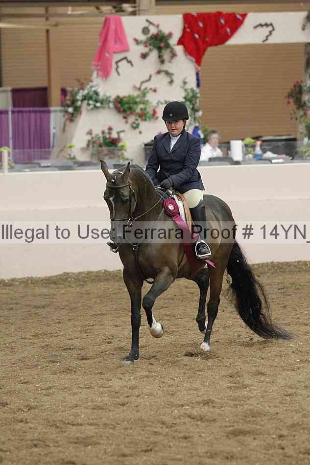 Proof Number 14yn_19513