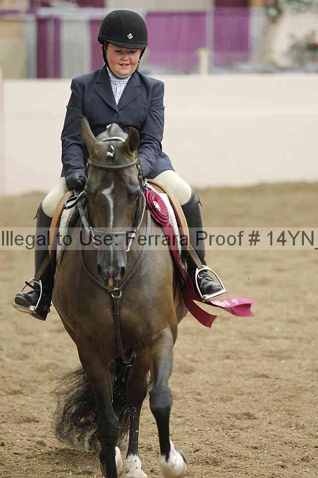 Proof Number 14yn_19515