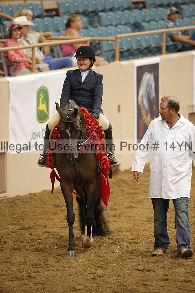 Proof Number 14yn_19538