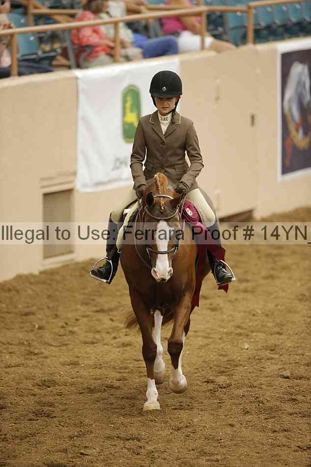Proof Number 14yn_19548