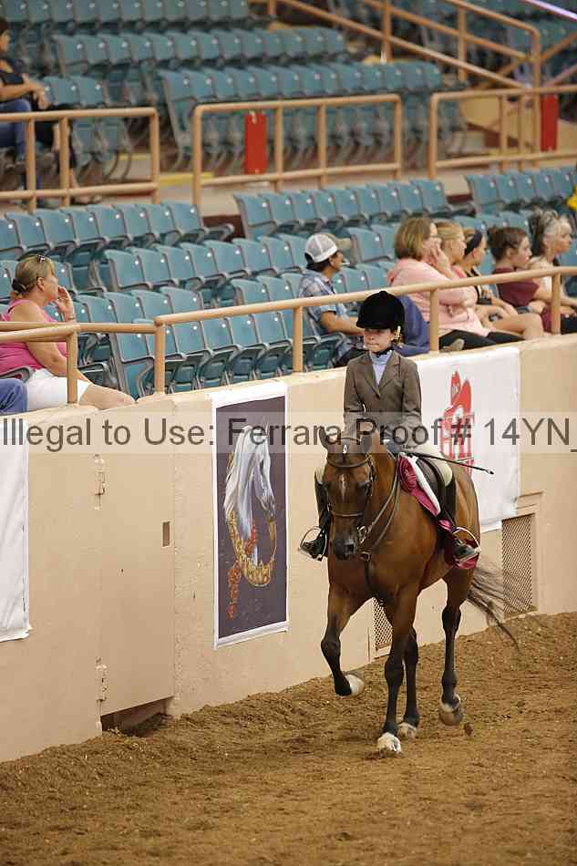 Proof Number 14yn_19559