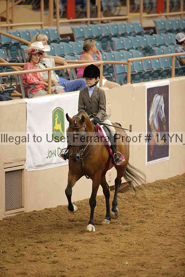 Proof Number 14yn_19561