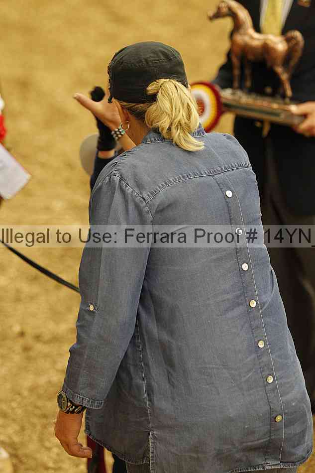 Proof Number 14yn_00584
