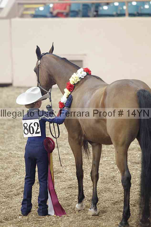 Proof Number 14yn_00609