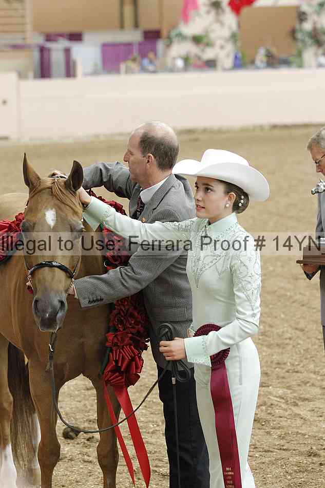 Proof Number 14yn_08391