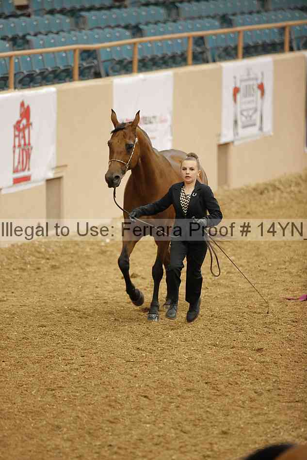 Proof Number 14yn_08413
