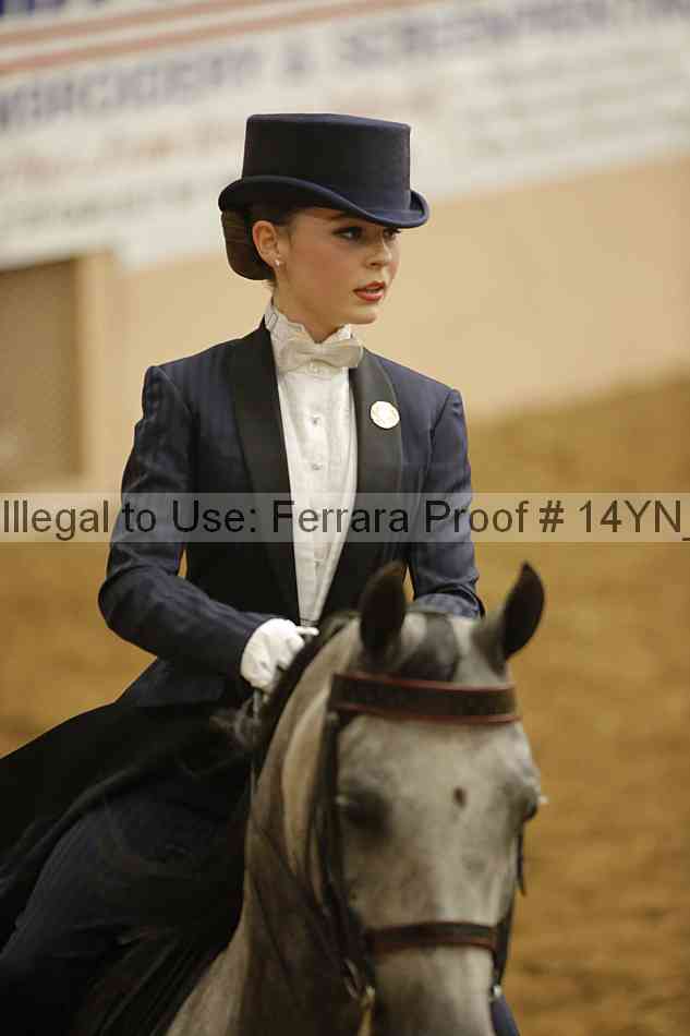 Proof Number 14yn_13840