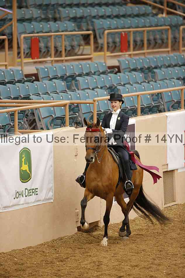 Proof Number 14yn_13958