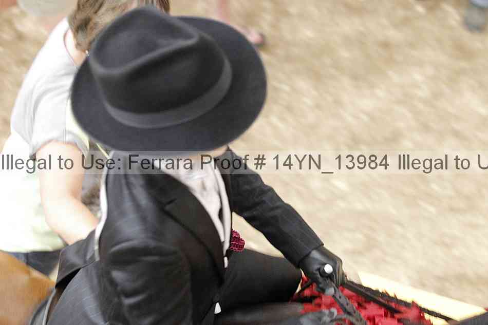 Proof Number 14yn_13984