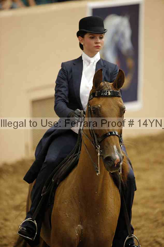 Proof Number 14yn_01175